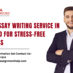 essay writing service