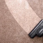 expert carpet cleaning services in Denver