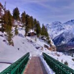 alok-kumar-_coy_nolInw-unsplash