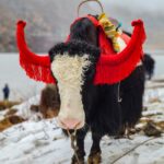 amit-gupta-v4YWEXgAFok-unsplash (1)
