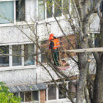 commercial tree serv