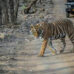 gaurav-sharma-G0hzu3bLew4-unsplash