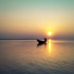 inu-etc-N5n9FDQkmGQ-unsplash