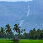 sreehari-devadas-ooAFvQKgJz8-unsplash