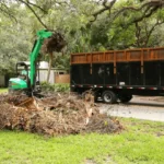 Debris Removal Service Tips for a Cleaner Property