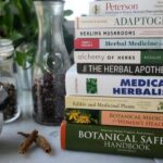 Herbal Medicine Store Guide for Beginners