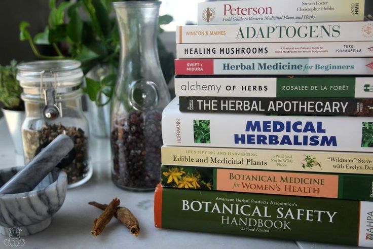 Herbal Medicine Store Guide for Beginners