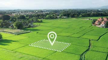Hectare to Bigha