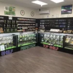 i - 2025-11-29T014627.398