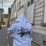 stussy hoodie