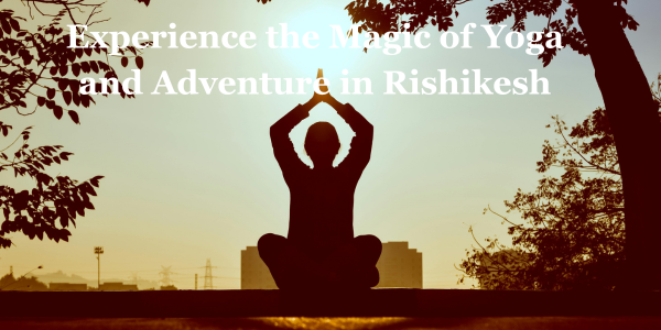 Best Kundalini Yoga Training in India