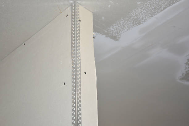 istockphoto-1294400159-612x612