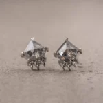 SPDE-06_1