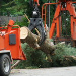 removed tree trunk by crane in residential area