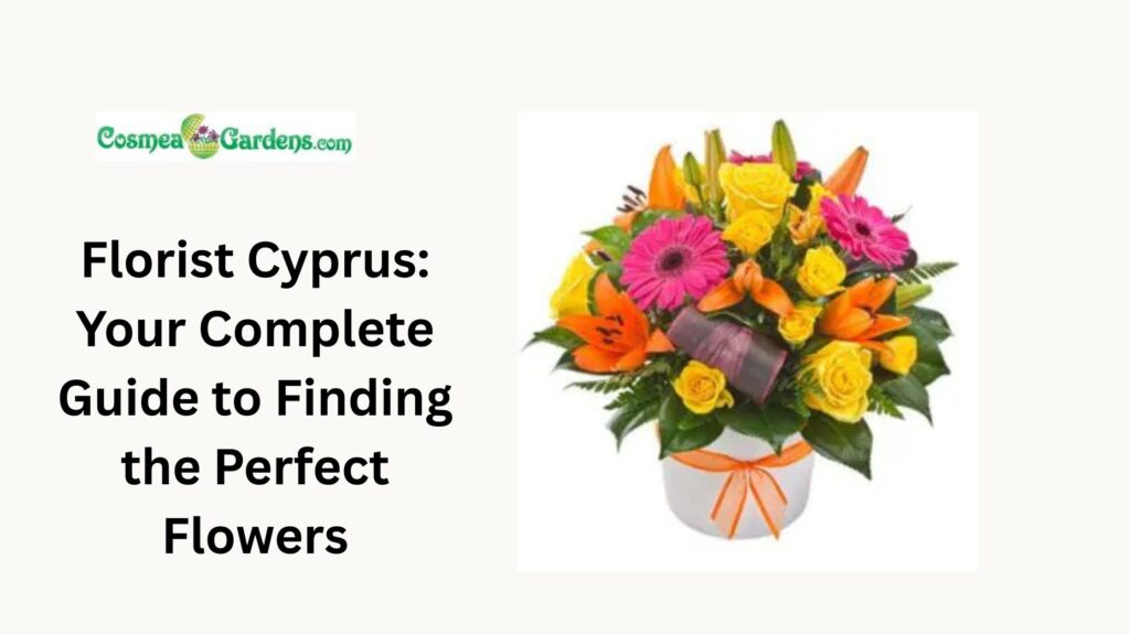 florist Cyprus