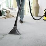 carpet cleaning Perth