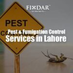 What Are The Benefits of A Fumigation Service?