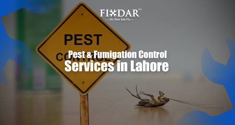 What Are The Benefits of A Fumigation Service?