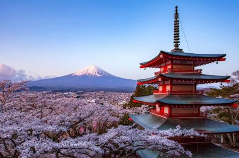 Japan Travel Guides