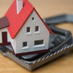 istockphoto-2214307217-612x612 (2)