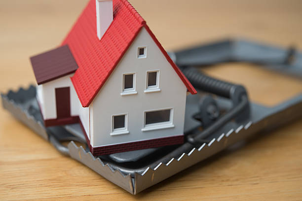 istockphoto-2214307217-612x612 (2)