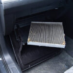 istockphoto-2249514765-612x612