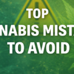 top cannabis mistakes to avoid