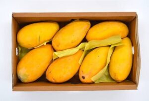 Mango Price in Pakistan 2026