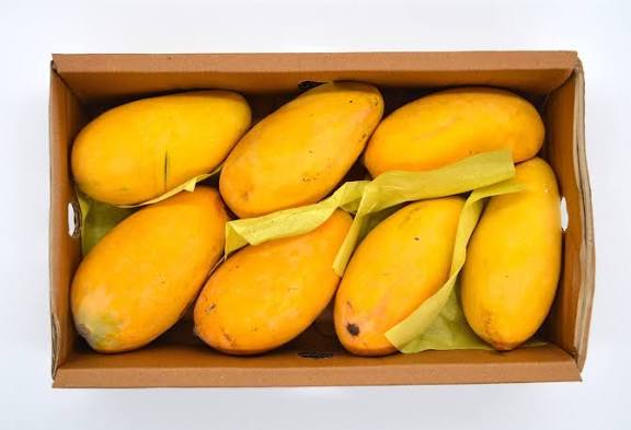 Mango Price in Pakistan 2026