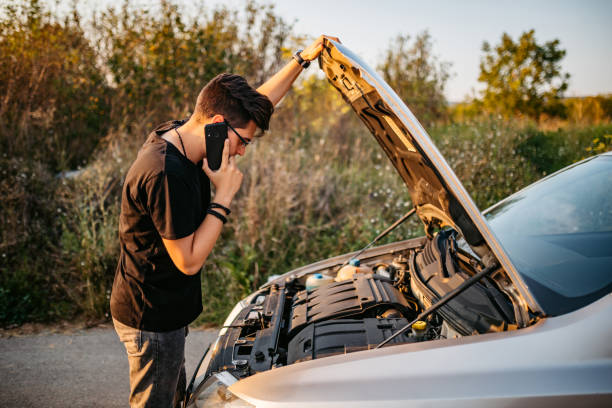 istockphoto-1271779268-612x612