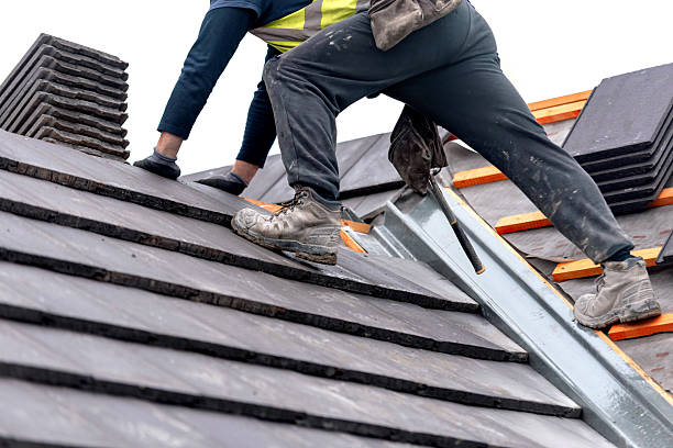 istockphoto-2217812038-612x612