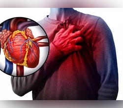 Gut health and heart function illustrated through digestive health, heart rhythm, blood circulation, and beneficial gut bacteria.
